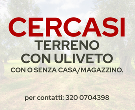 Terreno con uliveto con o senza casa