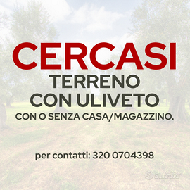 Terreno con uliveto con o senza casa