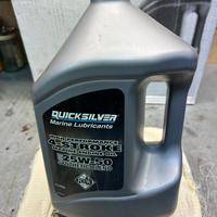 Olio sintetico 25W-50 QuickSilver