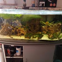 acquario 350 LT. vetro curvo 122x45x55