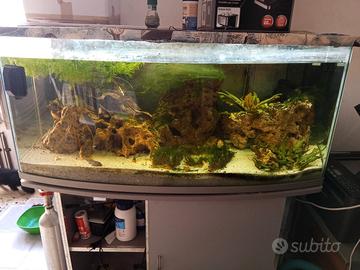 acquario 350 LT. vetro curvo 122x45x55