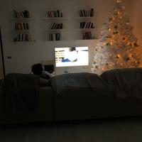 Albero di natale bianco alto 240 cm  con luci