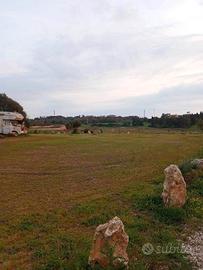 S. V. Platamona-Terreno 2800 mq, vicino al mare