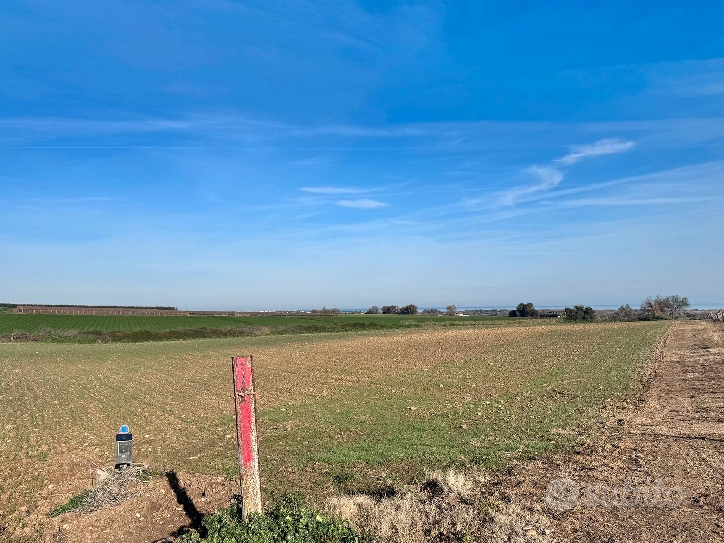 Nuova Cliternia-terreno di 27.800mq-Campomarino - Vista 5