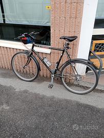 bici varie