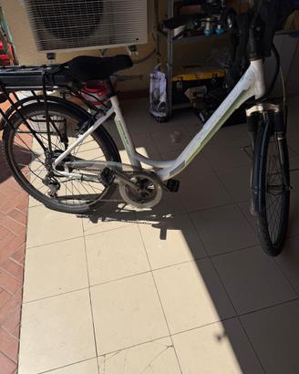 Bici elettrica