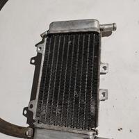 Radiatore Piaggio