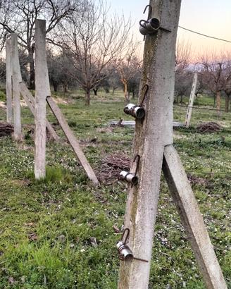 Pali per vigneto 