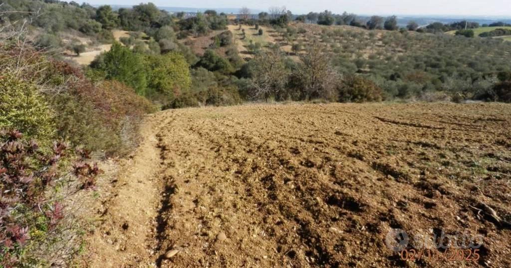 Immobile in asta di 46370 m² a Montescaglioso - Vista 5