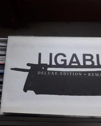 cofanetto Ligabue
