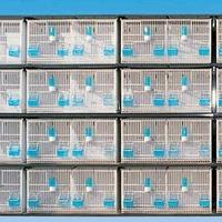 Batteria per uccelli