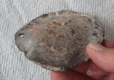 Antico Ferro di Cammello Portafortuna