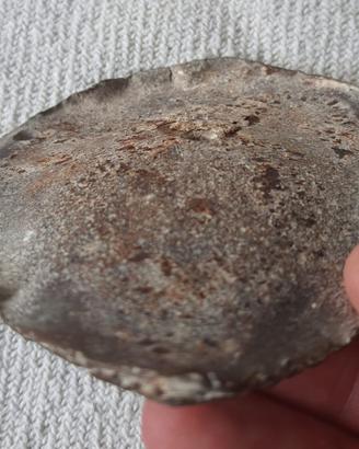 Antico Ferro di Cammello Portafortuna