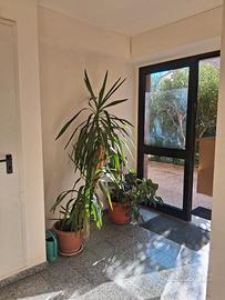 Mansarda con terrazzo