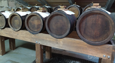 Batteria aceto balsamico