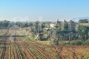 Terreno Agricolo Terracina [Cod. rif TR108VCG]