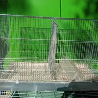 Gabbia usata per canarini