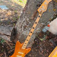 Basso elettrico Imanet 