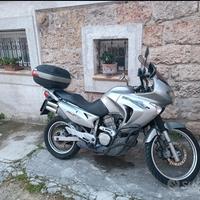 Honda Transalp XL 650 V (2003) 