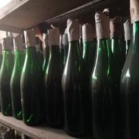Lotto bottiglie da vino e damigiane – completo