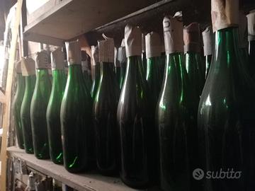 Lotto bottiglie da vino e damigiane – completo