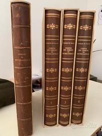 Corpus dei disegni di Michelangelo + Disegni