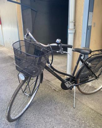 Bicicletta da donna ben tenuta