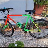 bici e porta bici