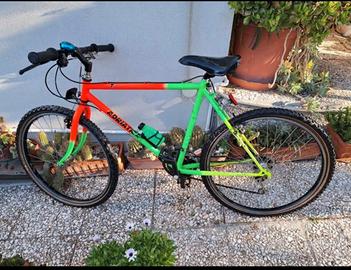 bici e porta bici