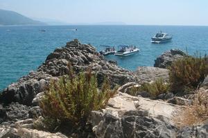 Vacanza ascea cap. settembre in villa