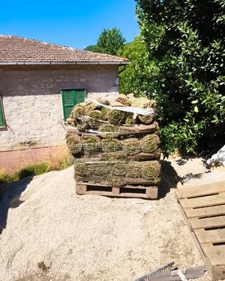 Vendita Bancale di 45 mq di prato di gramigna