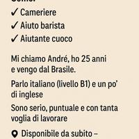 Cameriere ,barista , aiutante cuoco