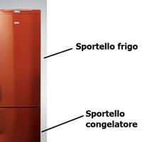Sportelli Ricambio Frigo Rex RNB38351Z