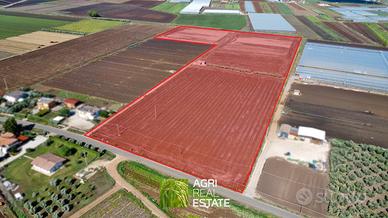 Terreno agricolo 7 HA fronte strada con magazzino