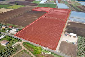 Terreno agricolo 7 HA fronte strada con magazzino