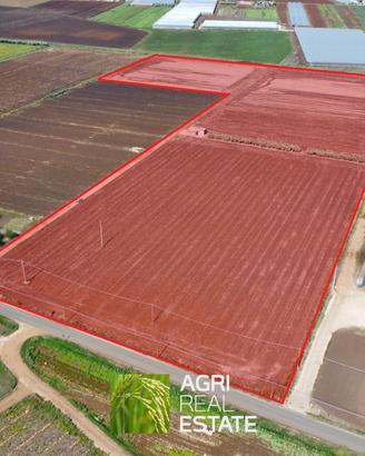 Terreno agricolo 7 HA fronte strada con magazzino