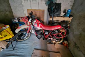 xt 600 1984 