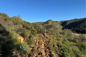 Terreno Agricolo a Monti
