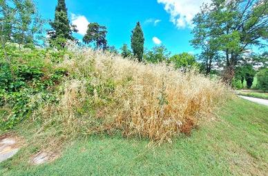 Immobile in asta di 904 m² a Meldola