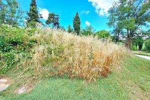 Immobile in asta di 904 m² a Meldola
