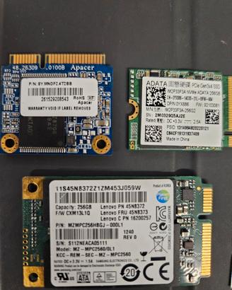 dischi SSD M2 nvme vari