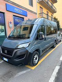 Fiat ducato 9 posti tetto alto
