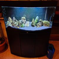 acquario juwel vision 180