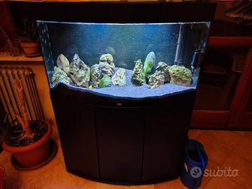 acquario juwel vision 180