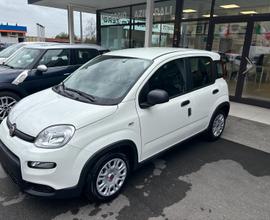 Fiat Panda 1.0 FireFly S&S Hybrid City Life VETTUR