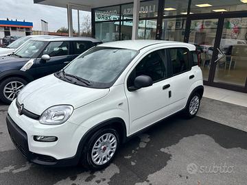 Fiat Panda 1.0 FireFly S&S Hybrid City Life VETTUR