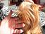 Immagine 3