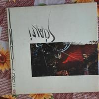 dischi in vinile 