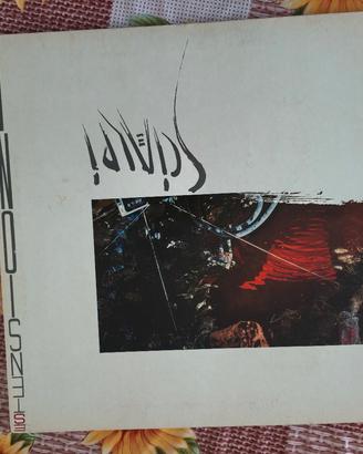 dischi in vinile 