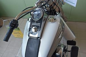 Harley-davidson Deluxe custom